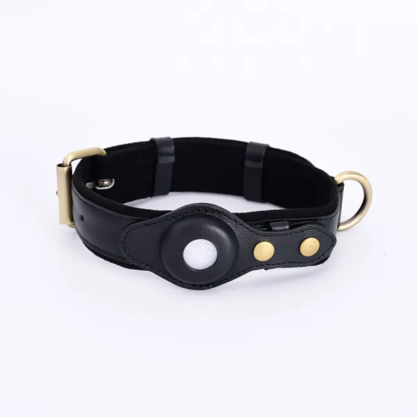 Collier en cuir avec étui pour traceur