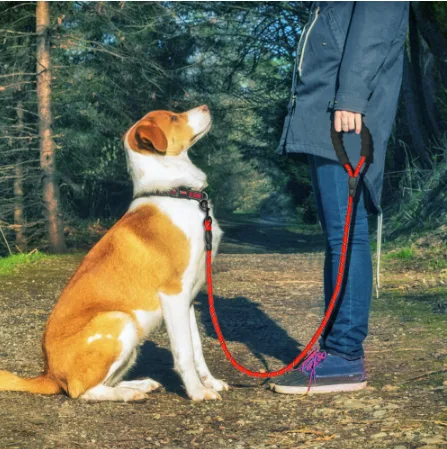 Laisse corde réfléchissante 1,5 m