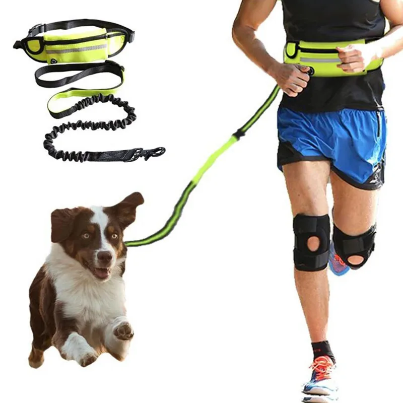 Laisse mains libres avec ceinture et amortisseur